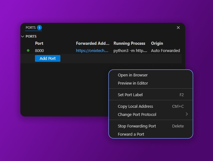 Port Forwarding